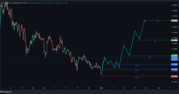 دوج کوین (DOGE)