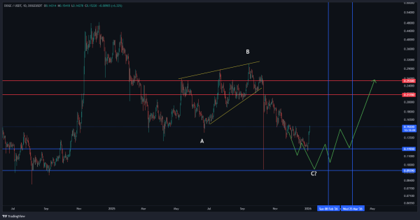 دوج کوین (DOGE)