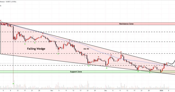 آیا کاردانو (ADA) پادشاه بعدی بازاره