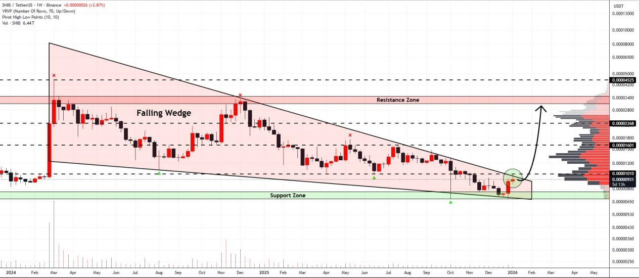 این میم‌ کوین برای یک رالی ۲۰۰ درصدی آمادس؟