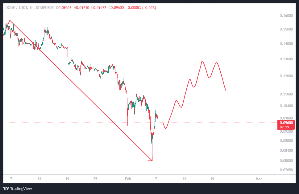 دوج کوین (DOGE)