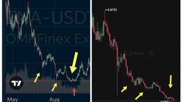 وقتی مارکت بالغ می‌شود، روایت‌های ساده می‌میرند