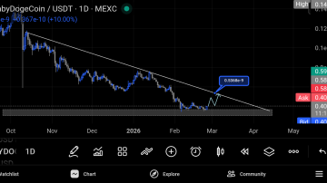 بیبی دوج (BabyDoge)