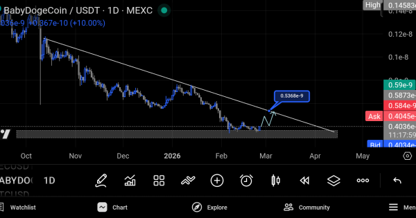 بیبی دوج (BabyDoge)