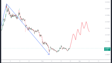 ادامه روند میم کوین