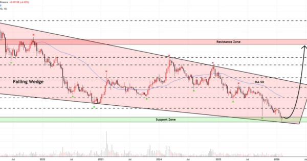 شمارش معکوس برای شکستن قفس