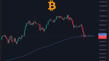 کف قیمتی بیت کوین (BTC) مشخص شد