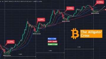 حرکت بعدی بیت کوین (BTC) مشخص شد