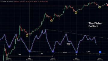 در سراشیبی سقوط، پایان رویاهای صعودی