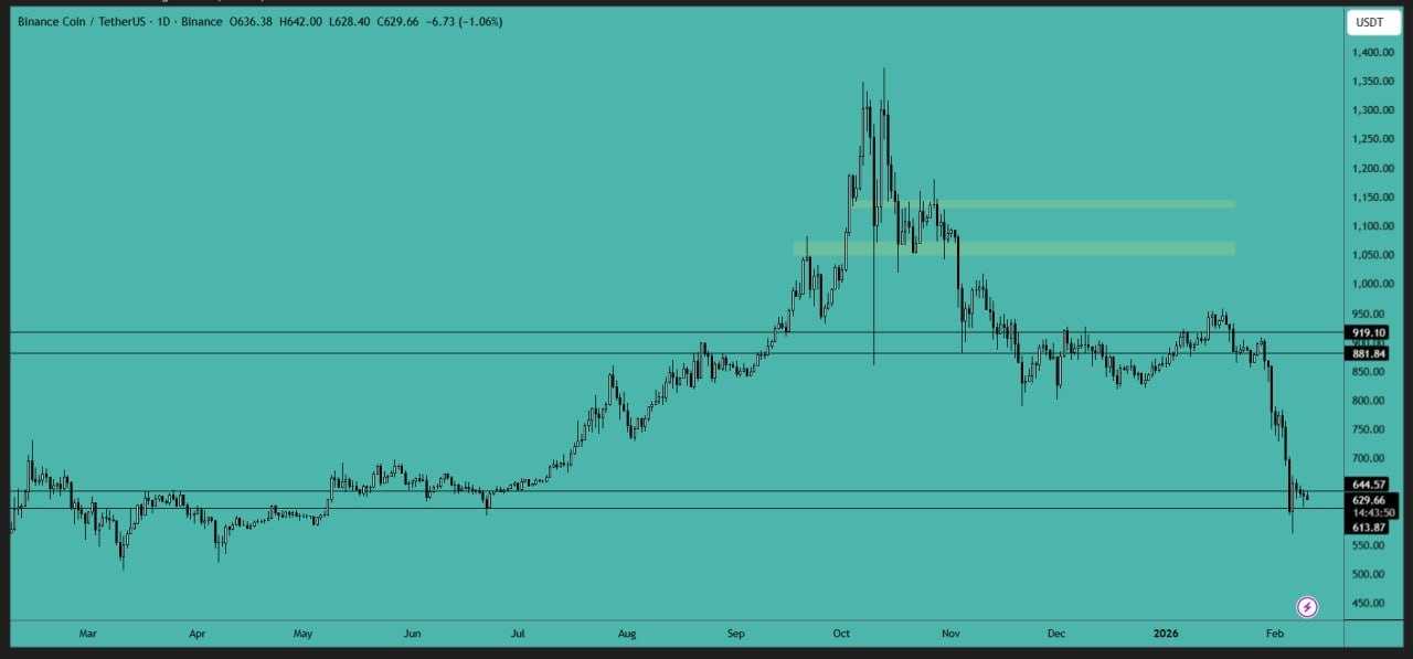 بی ان بی (BNB)