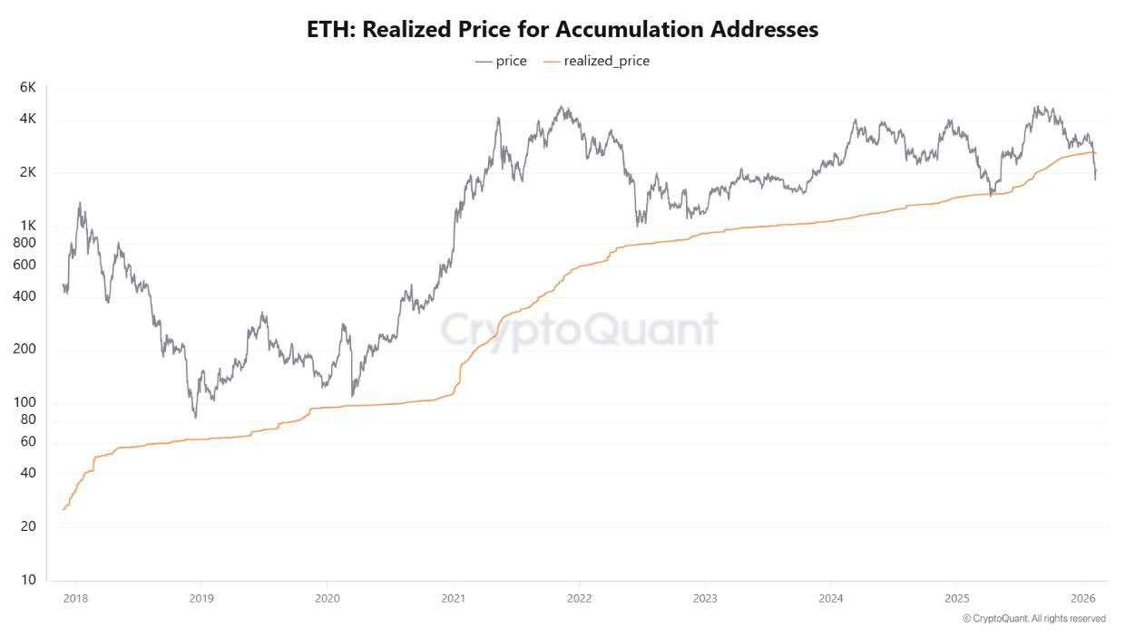 سیاست جدید نهنگ ها در قبال اتریوم (ETH)