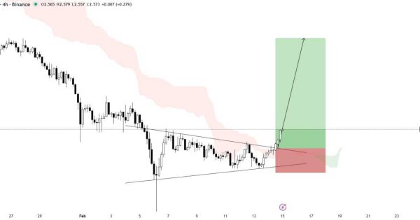 آماده باش برای یه رشد زیبا