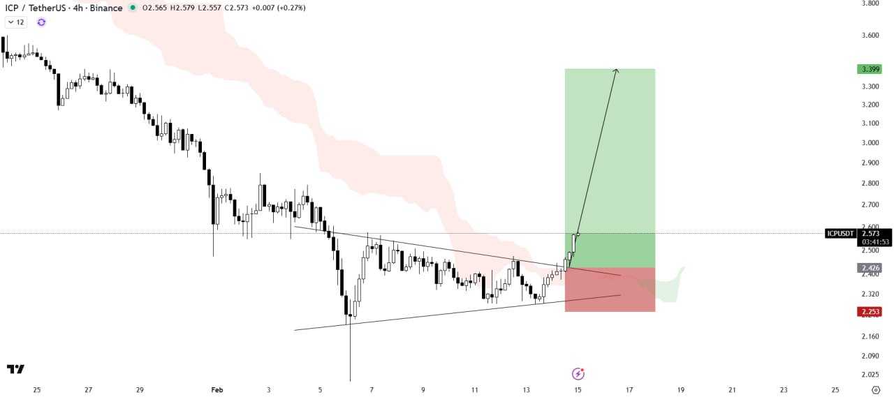 آماده باش برای یه رشد زیبا