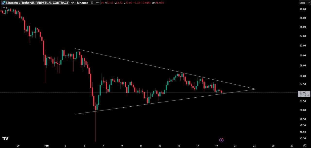 منتظر ترکیدن قیمت باش