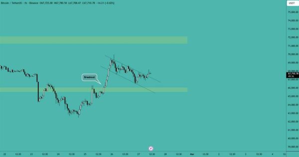 بیت کوین (BTC)