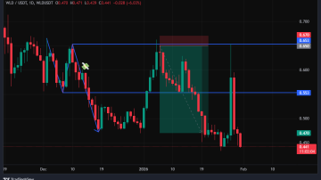 سیگنال فول تارگت