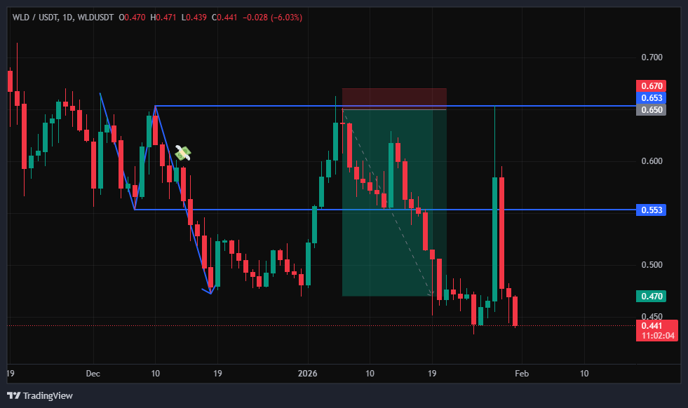 سیگنال فول تارگت