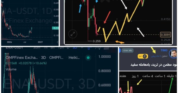 بین کلاغ، طاووس،، قیاس کردن،، یعنی قیاس مع الفارق