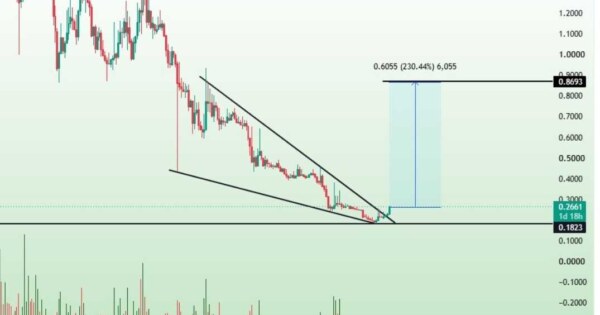 ارز WAVES