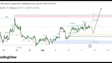 تحلیل تکنیکال WIF/USD