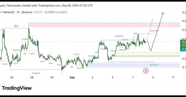 تحلیل تکنیکال WIF/USD