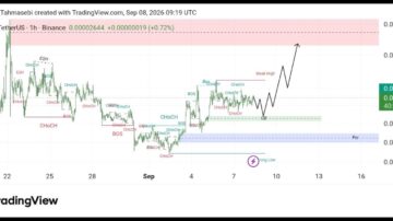 تحلیل تکنیکال FLOKI/USDT