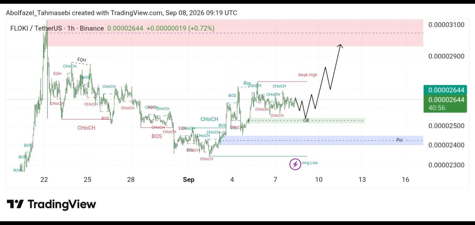 تحلیل تکنیکال FLOKI/USDT