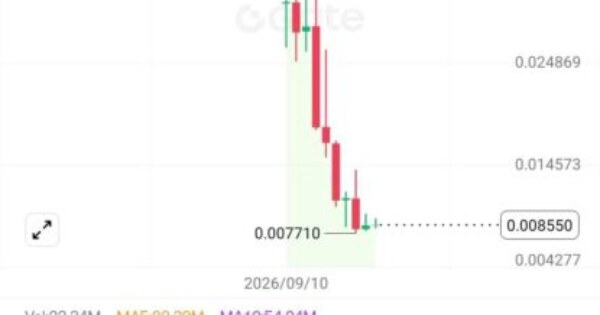 ۴STOCK