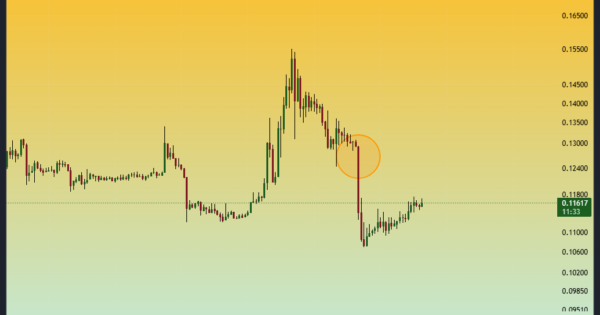 آلت کوین ترندی که سود نداد