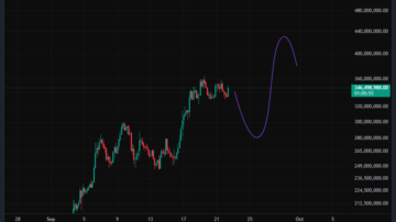 زی کش 400 میلیون تومنی