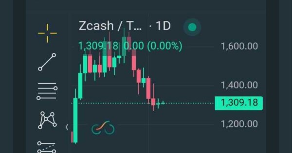 ارز زی کش