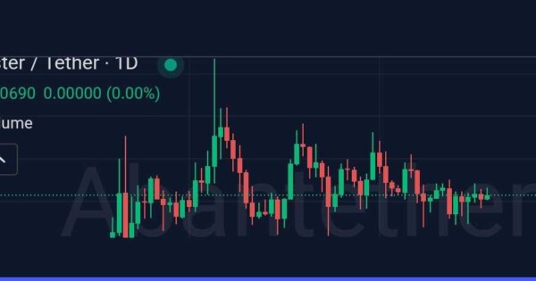 لانگ استر
