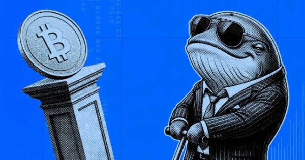 نهنگها قبل از ریزش بیت کوین شورت گرفته بودند!