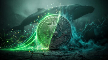 چطور بفهمیم نهنگ‌ها در حال خرید یا فروش کدوم ارز هستن؟