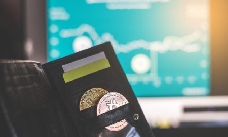 private key in bitcoin wallet