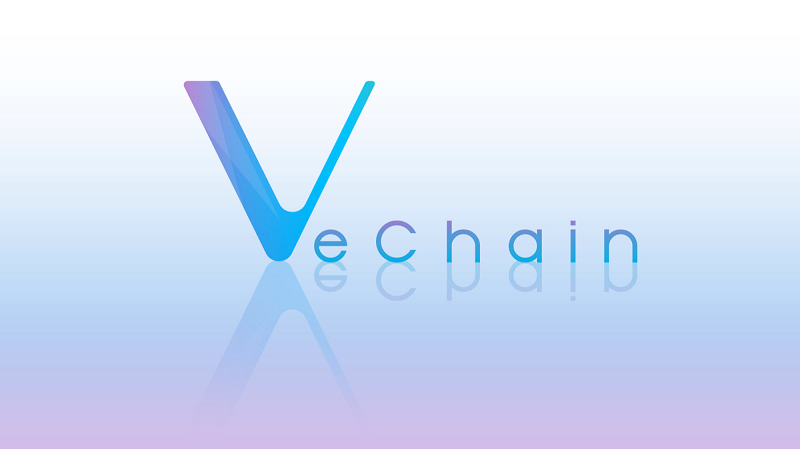 vechain introduction