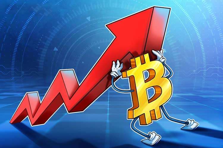 نوسان قیمت بیت کوین