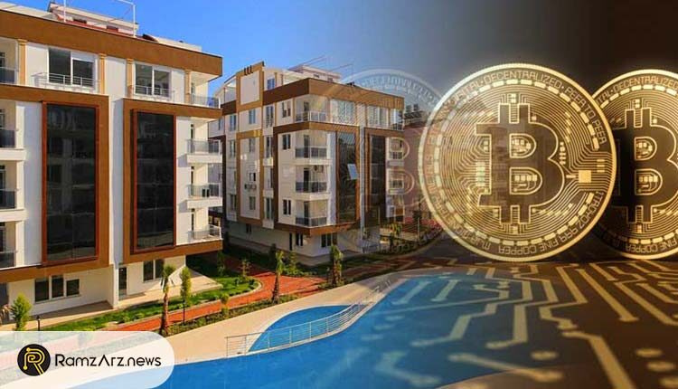 بیت کوین یا مسکن