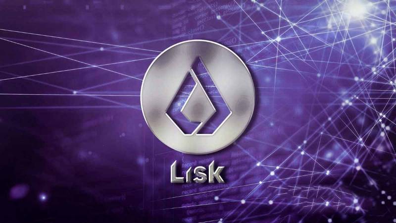what_is_lisk-5.jpg