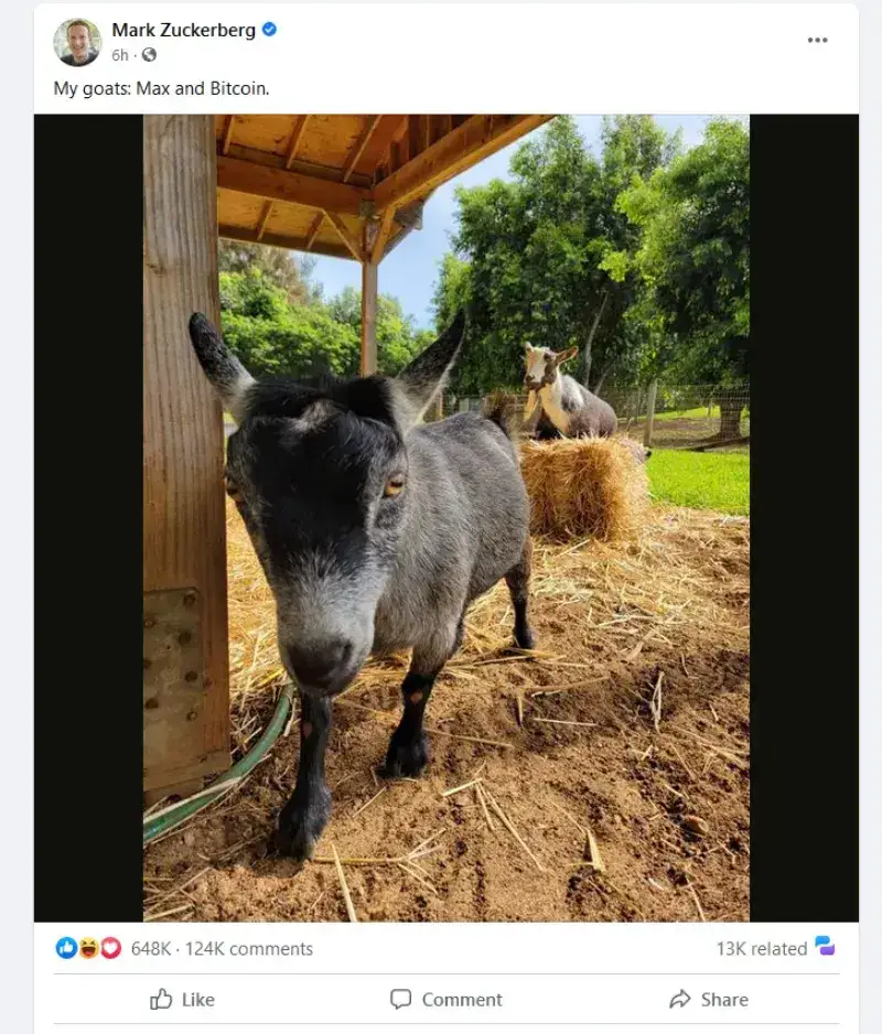 mark-zuckerberg-named-his-goat-bitcoin-2