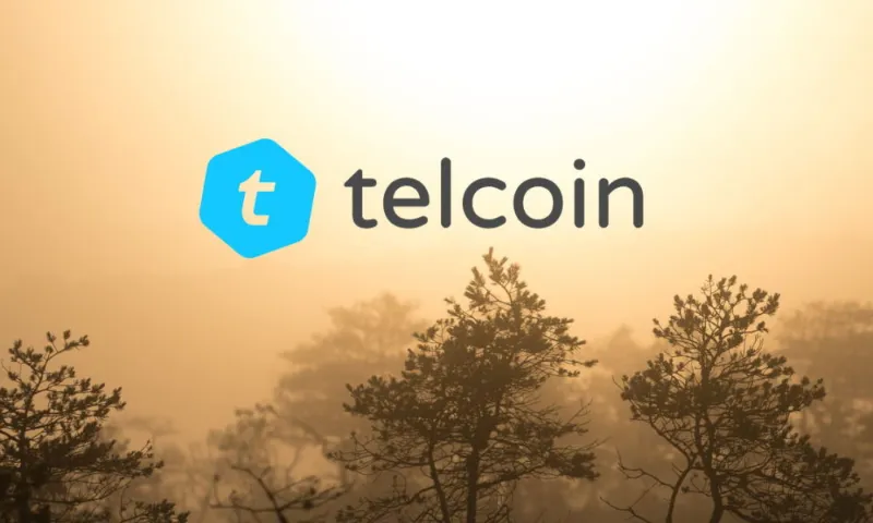 what-is-telcoin