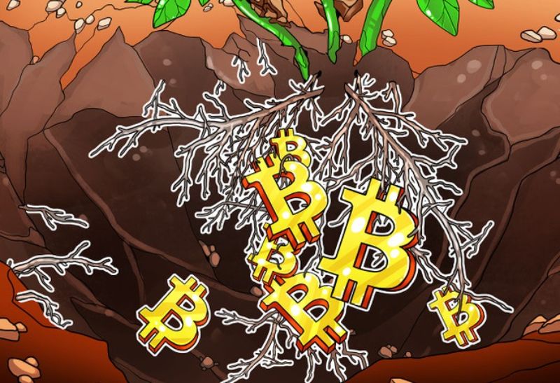 تپ روت (Taproot) چیست و چه تأثیری در بهبود شبکه بیت کوین دارد؟