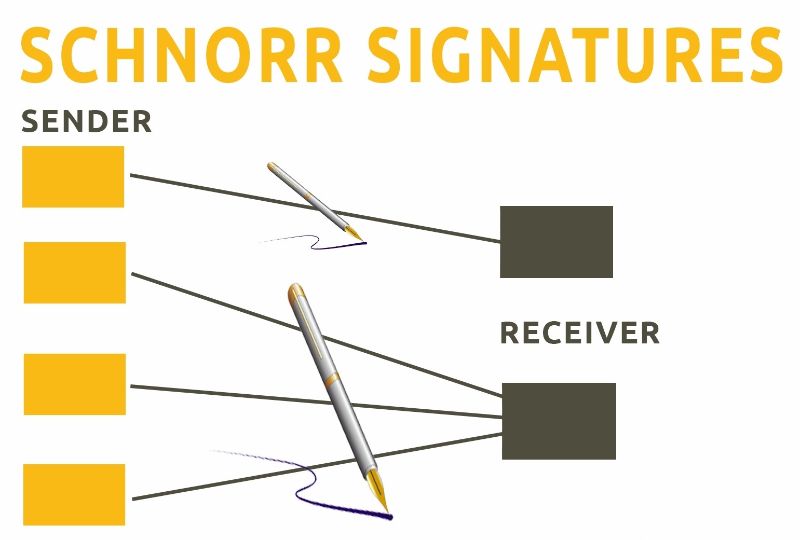 تپ روت (Taproot) چیست و چه تأثیری در بهبود شبکه بیت کوین دارد؟