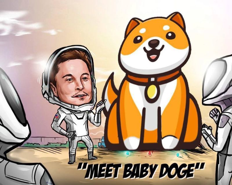 ارز دیجیتال Baby Doge چیست؟ آشنایی با رمزارز بیبی دوج
