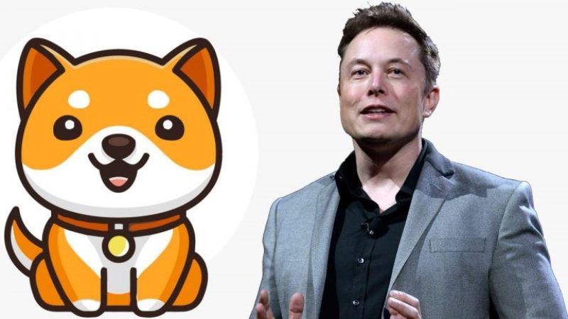 ارز دیجیتال Baby Doge چیست؟ آشنایی با رمزارز بیبی دوج