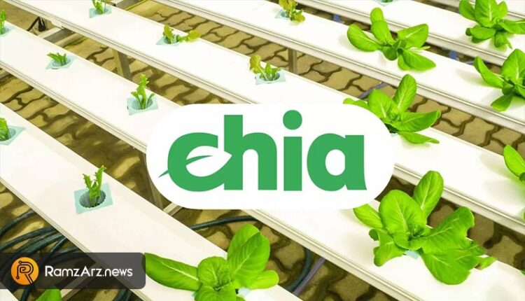 ارز دیجیتال Chia Network
