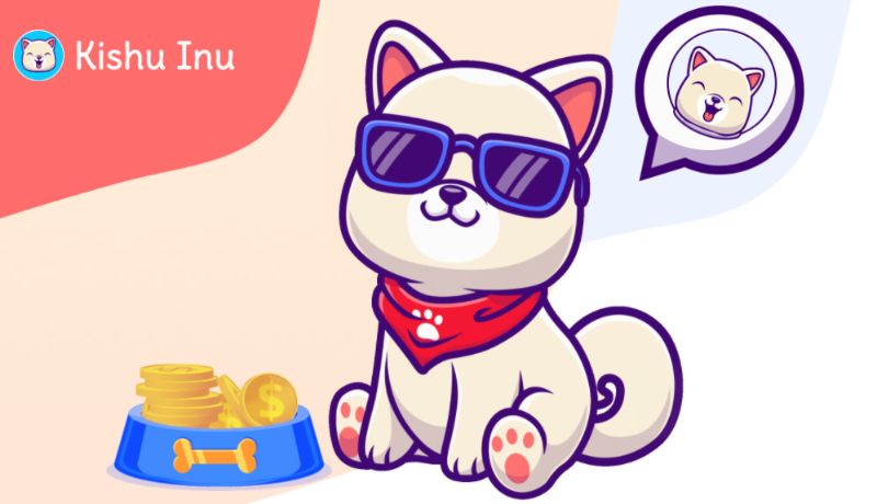 ارز دیجیتال Kishu Inu چیست؟