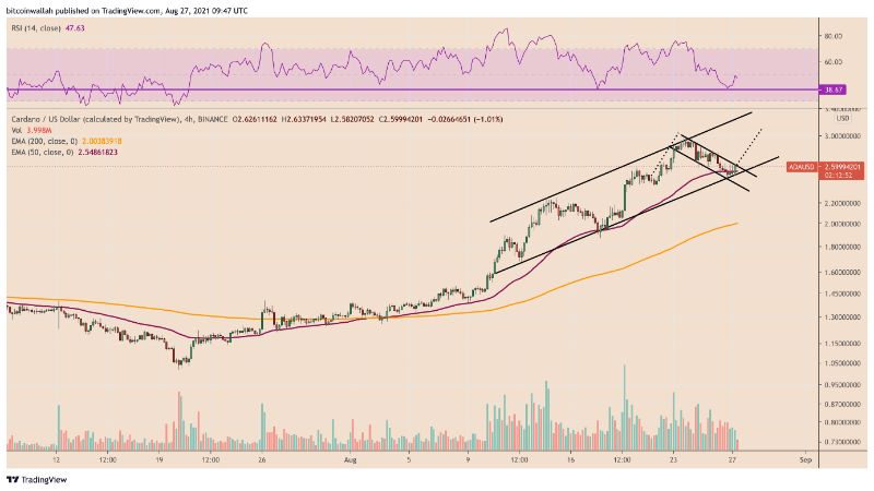 Cardano bull flag $3 ADA 