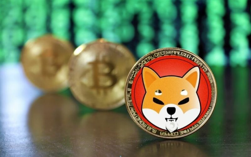 صرافی شیبا سواپ چیست؟ آشنایی با صرافی غیر متمرکز Shibaswap