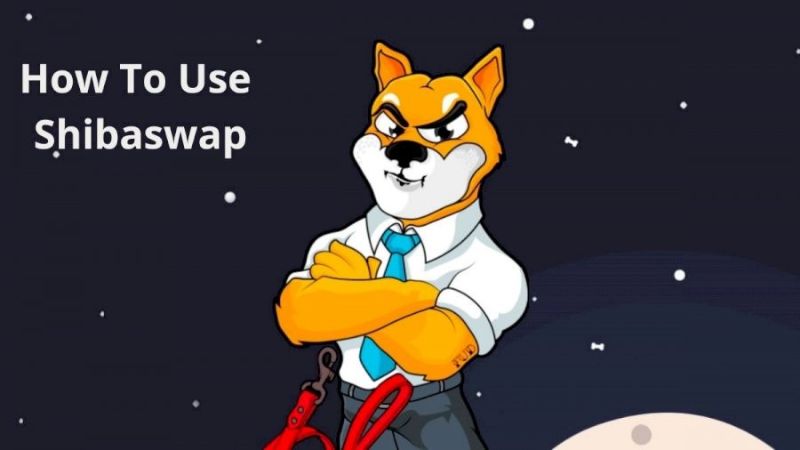 صرافی شیبا سواپ چیست؟ آشنایی با صرافی غیر متمرکز Shibaswap